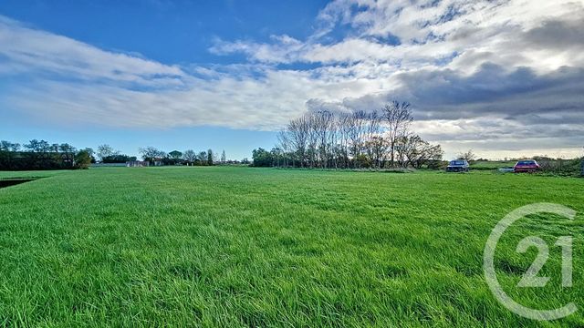 Terrain à vendre - 6716 m2 - Triaize - 85 - PAYS-DE-LOIRE