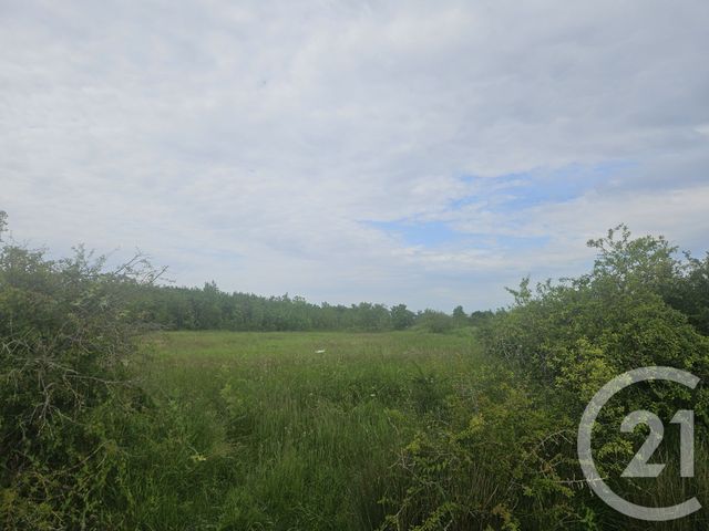 Terrain à vendre - 9110 m2 - Moreilles - 85 - PAYS-DE-LOIRE