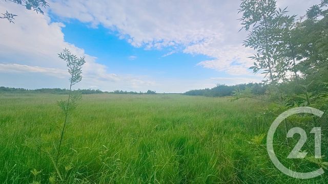 Terrain à vendre - 9110 m2 - Moreilles - 85 - PAYS-DE-LOIRE