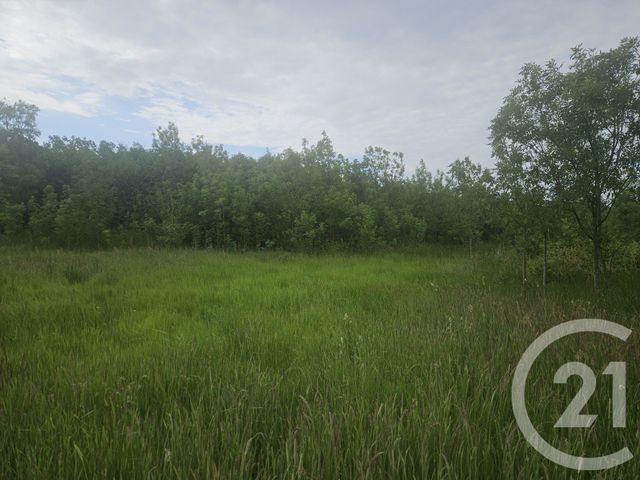 Terrain à vendre - 9110 m2 - Moreilles - 85 - PAYS-DE-LOIRE