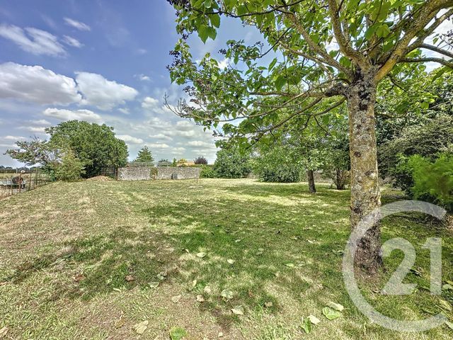 Maison &agrave; louer - 3 pi&egrave;ces - 66,76 m2 - Moreilles - 85 - PAYS-DE-LOIRE