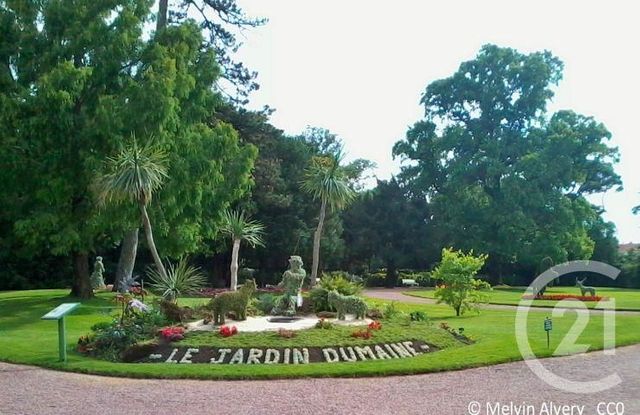 Appartement T1 à louer - 1 pièce - 21,76 m2 - Lucon - 85 - PAYS-DE-LOIRE