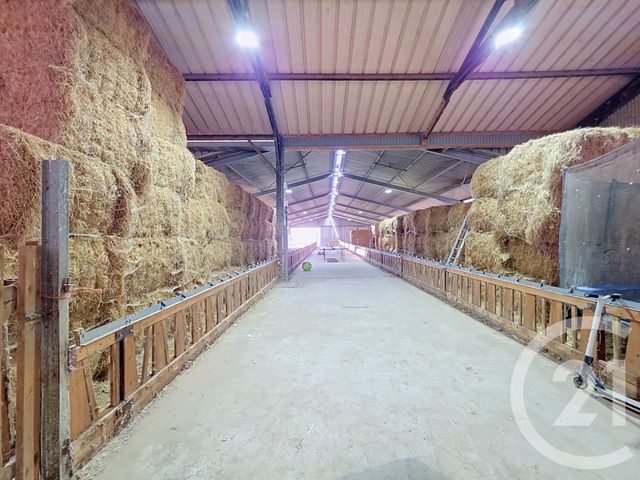 Maison &agrave; vendre - 4 pi&egrave;ces - 156 m2 - Champagne Les Marais - 85 - PAYS-DE-LOIRE